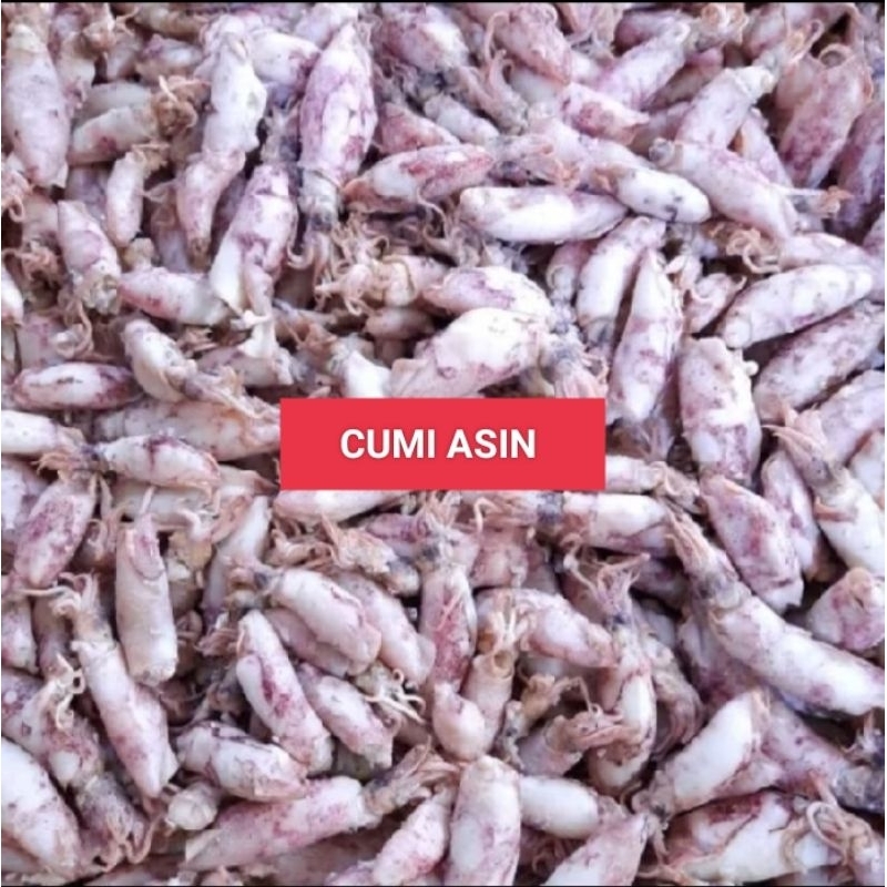 

Cumi Asin Ikan Asin 100 gram