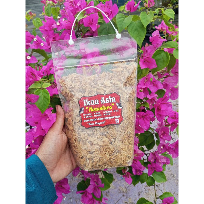 

ikan asin udang rebon/udang papai 250 gram-1 kg