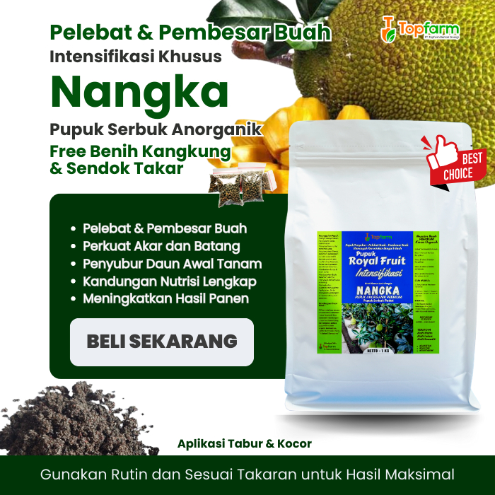 Pupuk Nangka Cepat Berbuah / Pupuk Booster Buah Nangka Terbaik / Pupuk Pembesar Buah Nangka