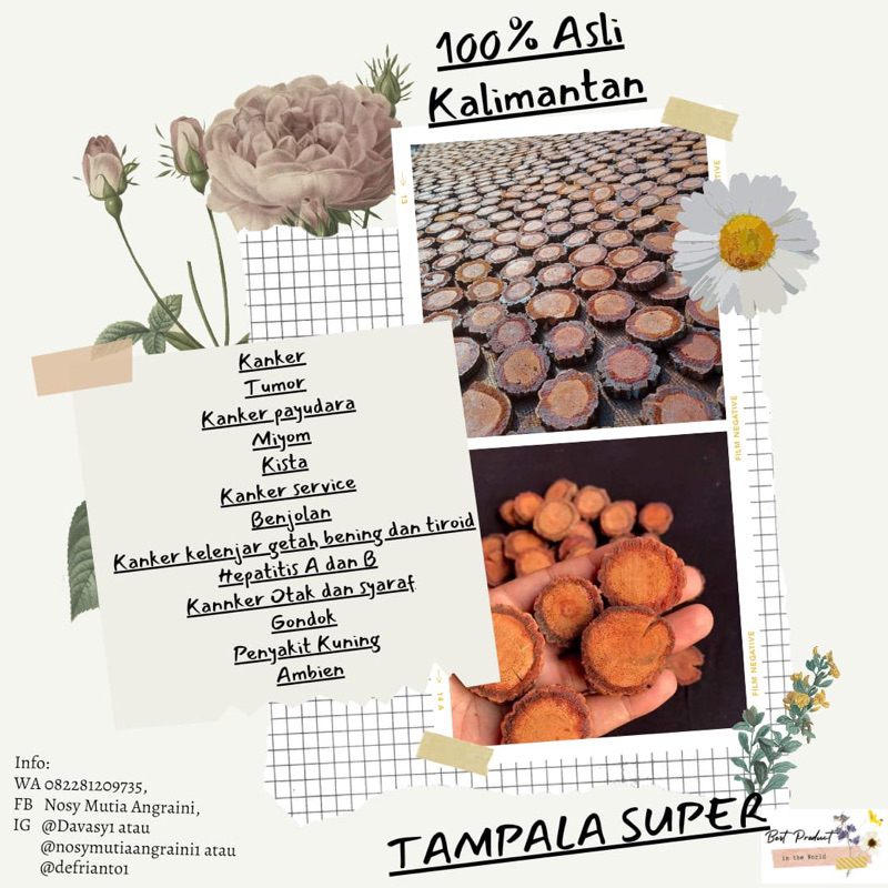 

Akar Bajakah Tampala Super Kalimantan