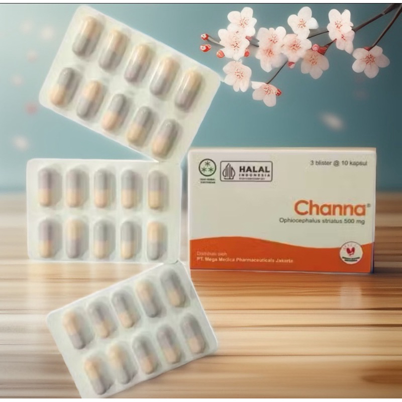 Channa Striata 500mg Ekstrak Ikan Gabus 30 kapsul