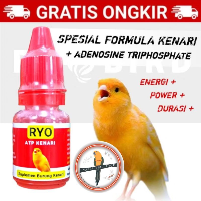 RYO ATP KENARI Suplemen ATP Vitamin Burung Kenari Finch Sanger Blacktroath VITAMIN BURUNG GACOR VITA