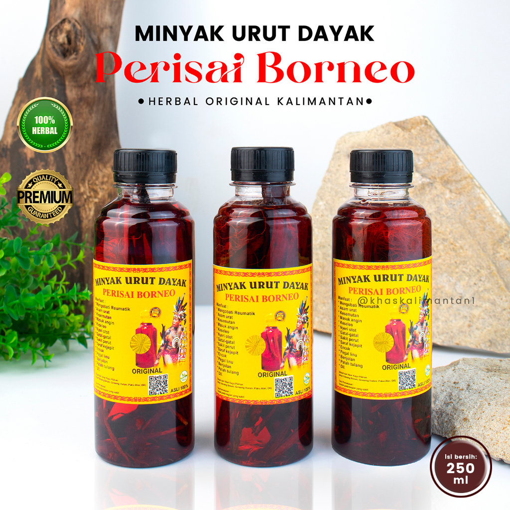 Distributor Resmi Minyak Dayak Asli Kalimantan Ori Ibu Ida Minyak Urut Dayak 100% Original
