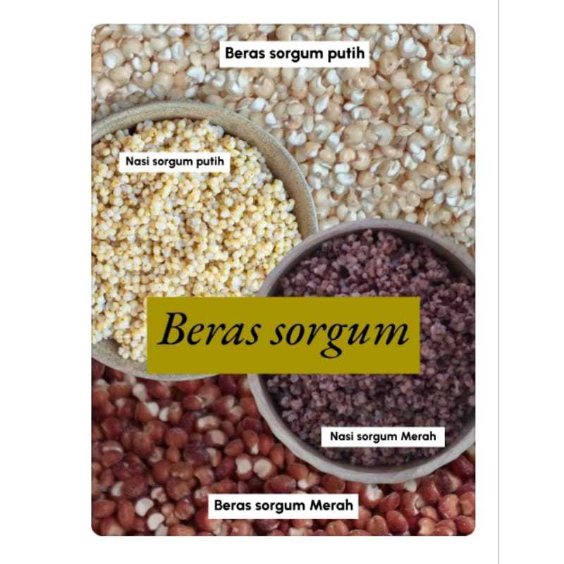 

BERAS SORGUM BIOGUMA PUTIH MERAH CANTEL SUDAH DI GILING REPACK 1 KG