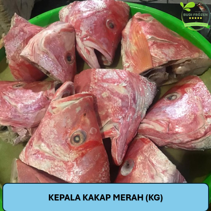 

KEPALA KAKAP MERAH 1 KG DITIMBANG LAGI