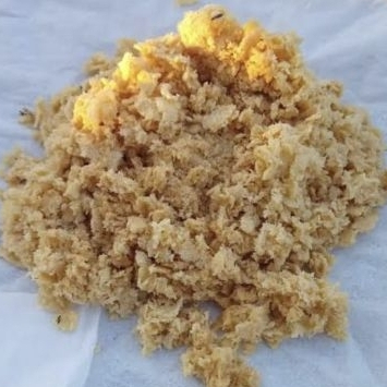 

Telur Maggot Bsf 1 Gram