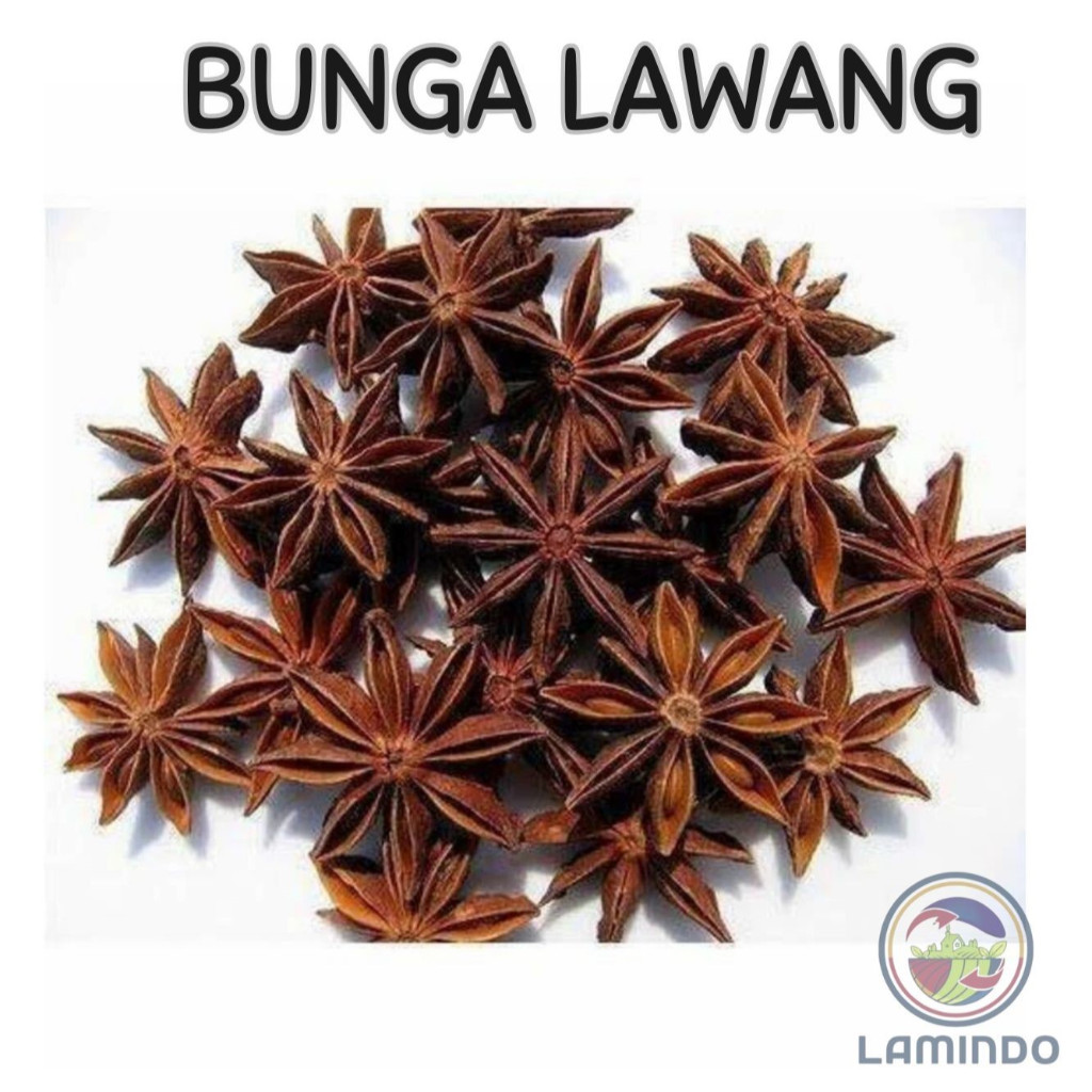 

Bunga lawang pekak 100 gram, 200 gram, 500 gram, 1 kg / Star Anise import quality