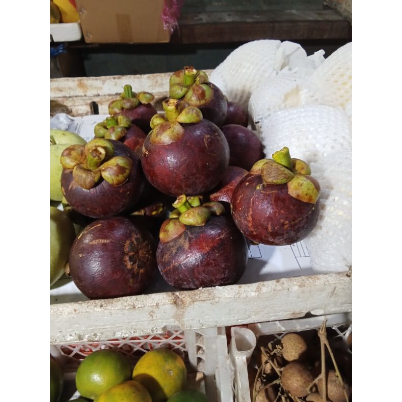 

satu kilo gram buah manggis segar