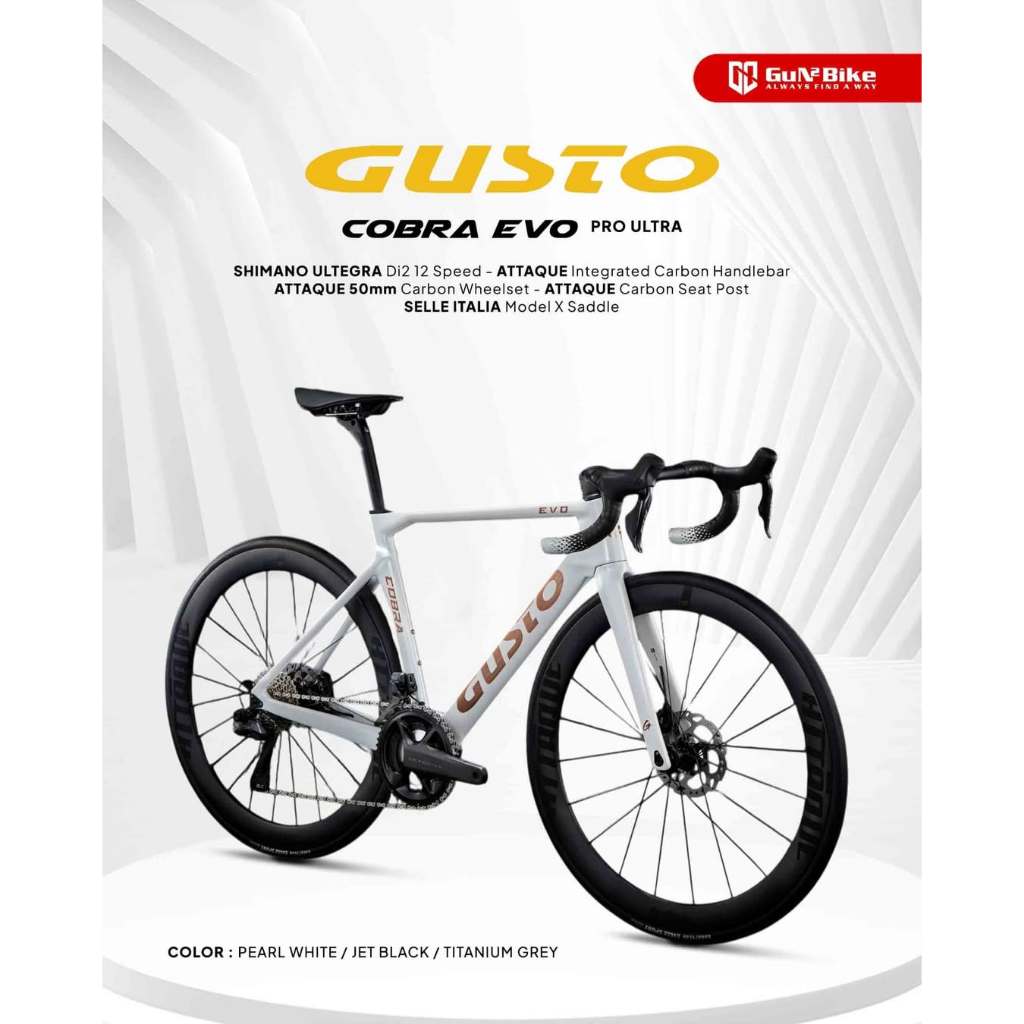 Sepeda Roadbike Full Bike GUSTO COBRA Evo DB Pro TE Shimano Ultegra R8100