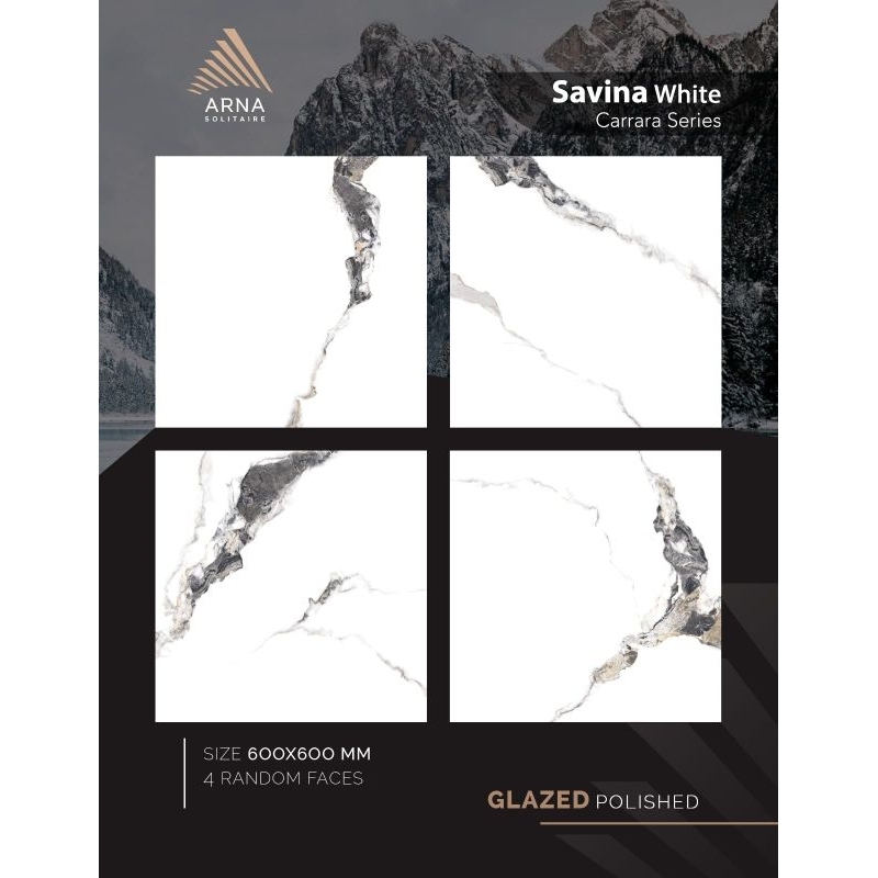 GRANITE 60X60 SAVINA WHITE GLOSSY KW1 - ARNA