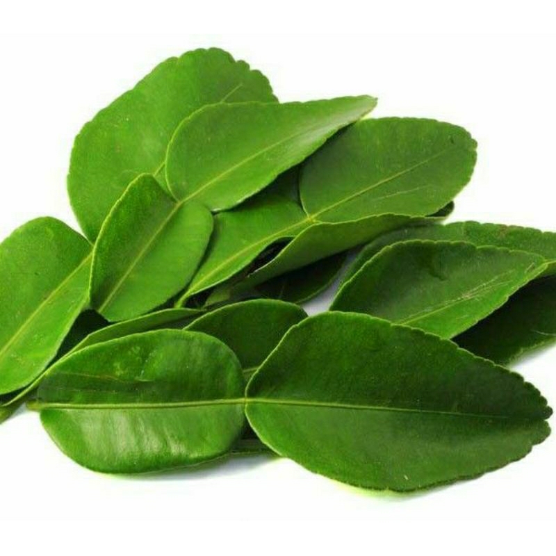 

daun jeruk nipis segar 100 gr