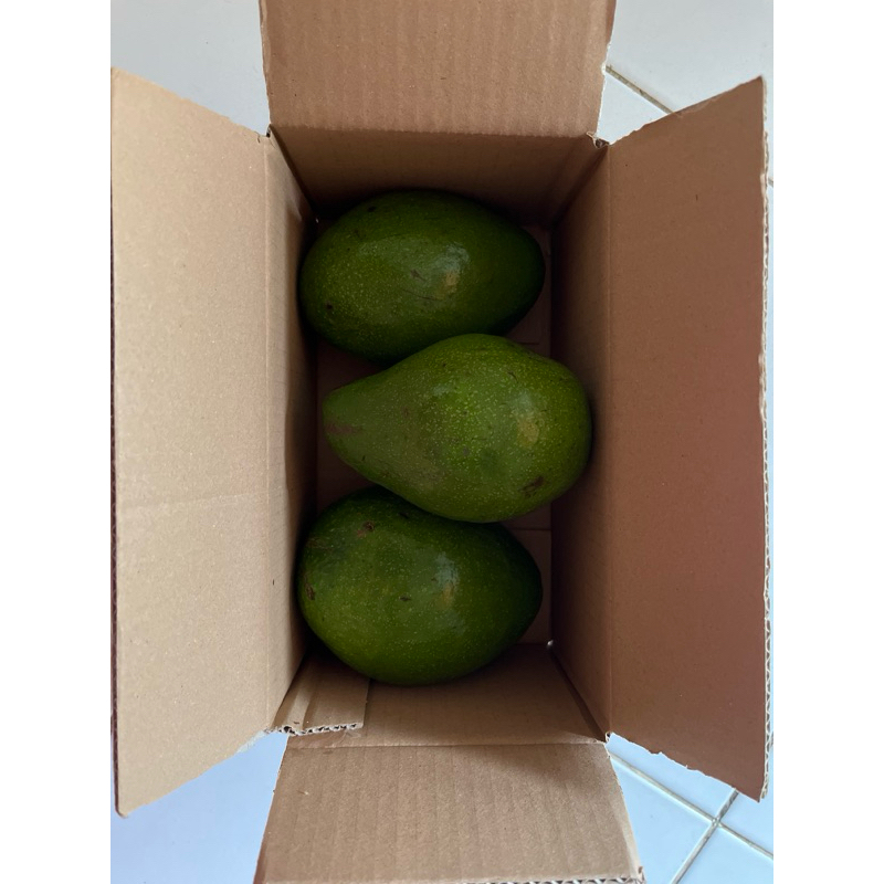 

Packing Kardus Untuk Pengiriman Regular