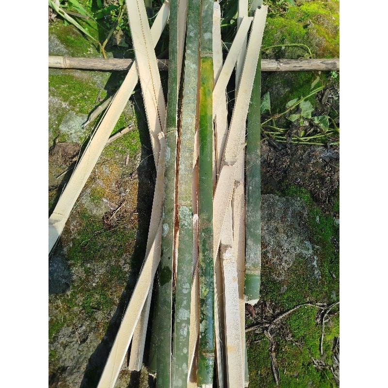 Bilah bambu / ajir bambu tuturus penyangga tanaman 55cm