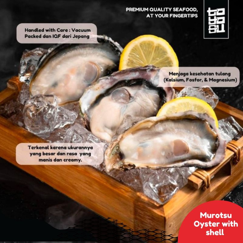 

PREMIUM MUROTSU OYSTER WITH SHELL - FROZEN JAPAN OYSTER - MUROTSU OYSTER WITH SHELL | TOYOSU