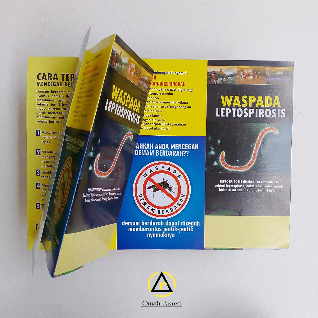

Leaflet Waspada Leptospirosis - Pencegahan DBD - Brosur DBD - Leaflet Kesehatan