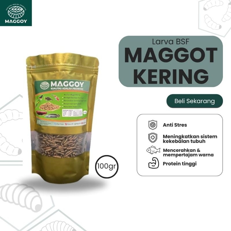 Maggot kering 100gr/100gram/maggot kering maggoy SBR/Dried maggot/Pakan ikan
