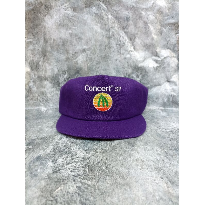 Vintage Concert SP Hat Reminders Made In USA Strapback Cap