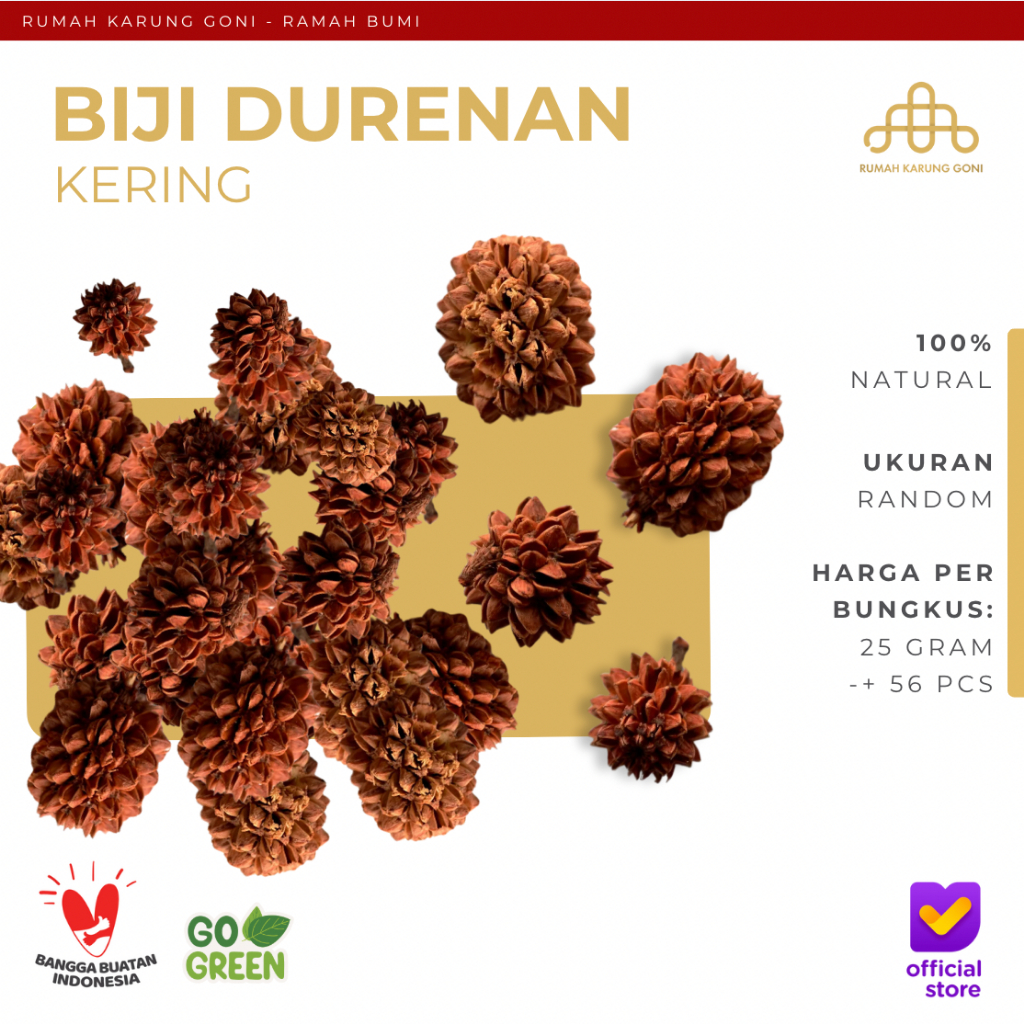 Properti Foto Rustik – Biji Durenan- Biji Cemara Laut