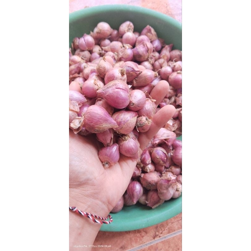 

BRAMBANG JAWA ASLI. 1KG dan 500gr bawang merah