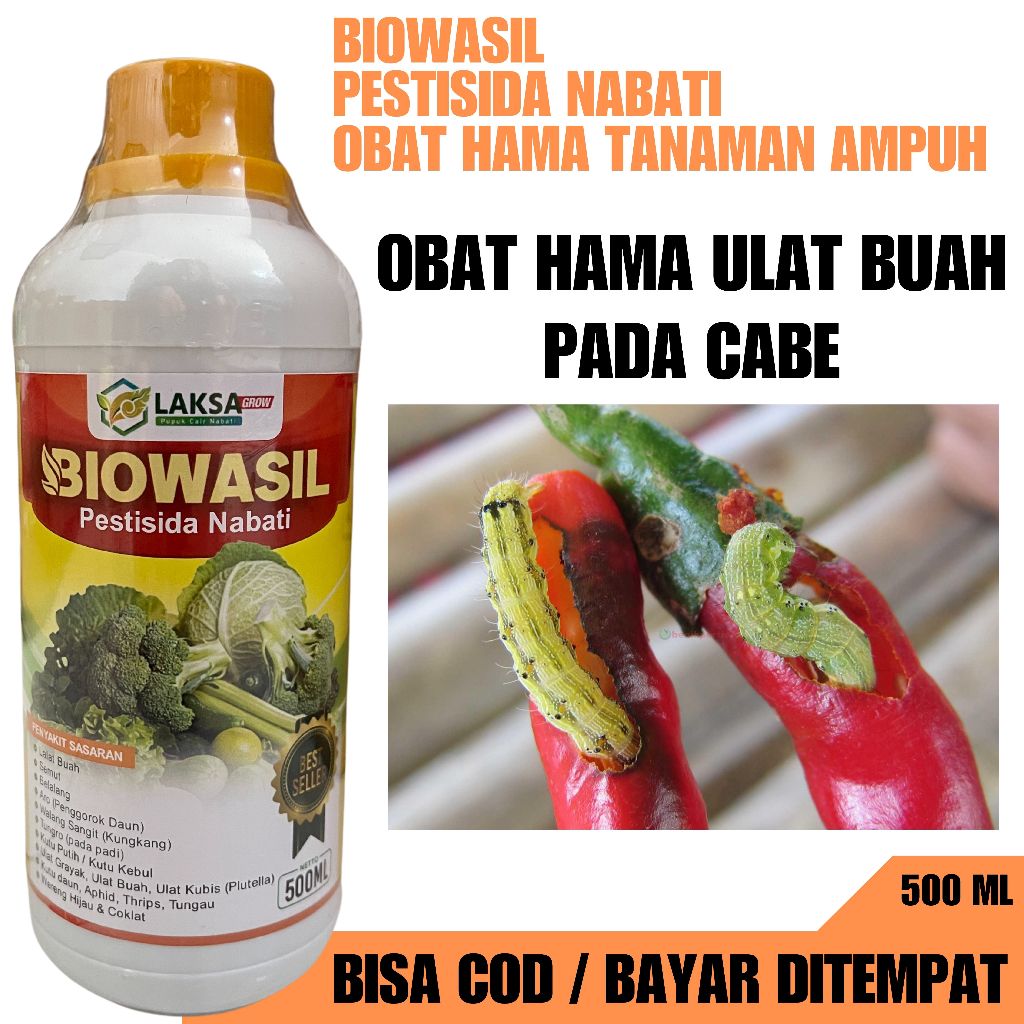 PALING LAKU OBAT HAMA ULAT CABE MERAH BIOWSAIL Pestisida Nabati Pembasmi Hama Ulat Cabe paling Ampuh