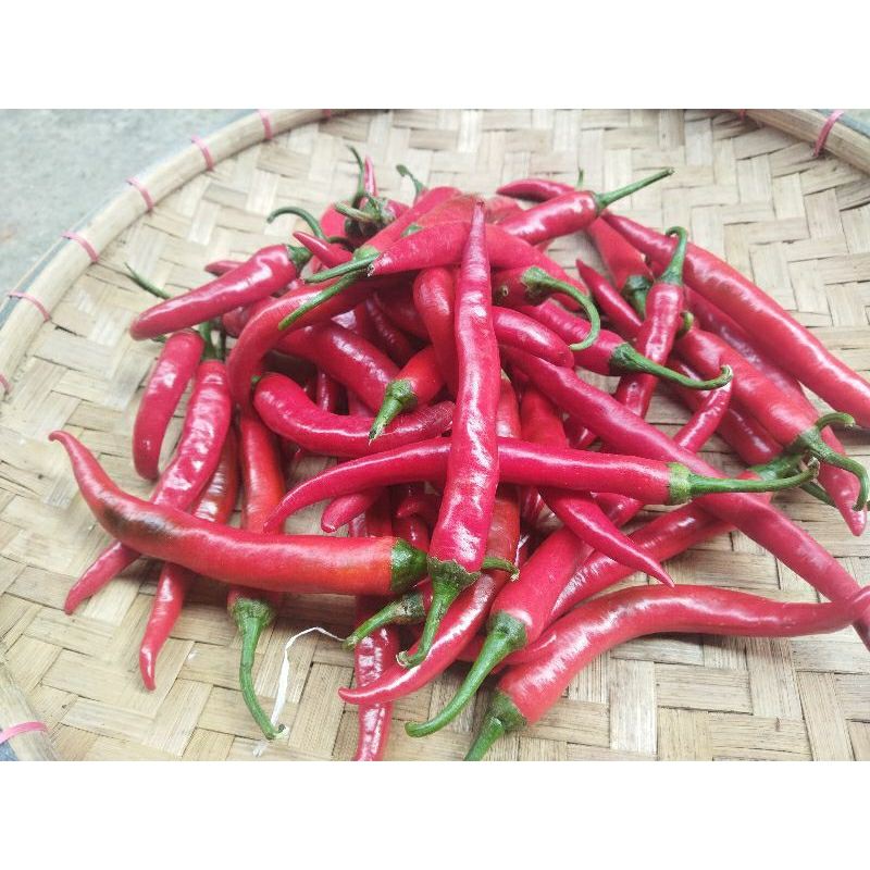 

Cabe merah super