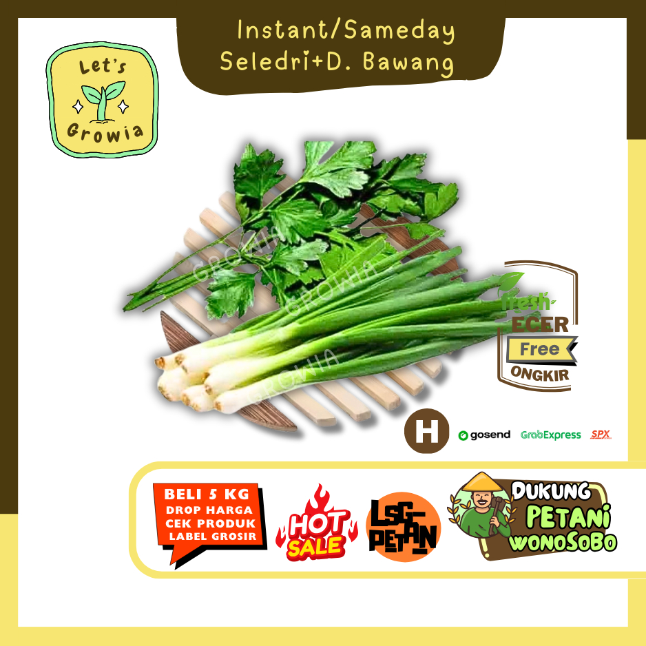 

Growia || Seledri / Sledri + Daun Bawang -- Hasil Petani Langsung Ecer (H)0
