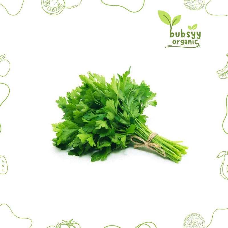 

SELEDRI SOP 1 IKAT MURAH