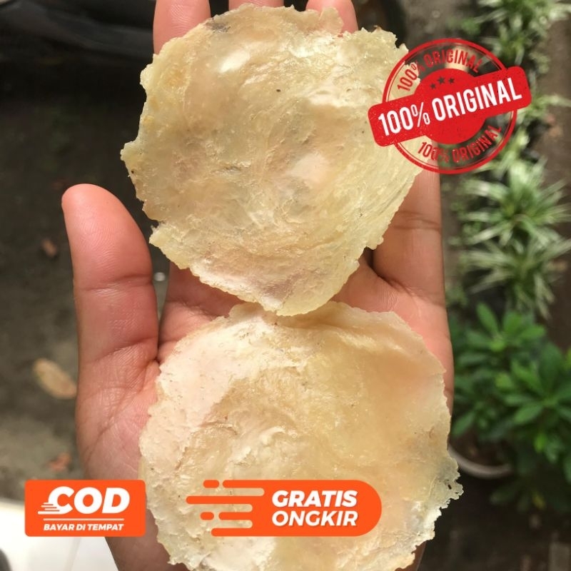 

Emping Melinjo 1/2 KG Super Tipis Ukr Kecil (1-2 biji) Mentah Kering Dijamin Siap Goreng