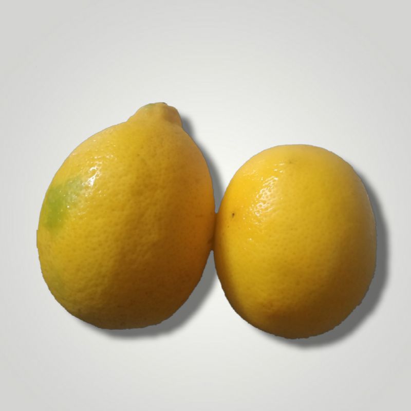 

jeruk lemon