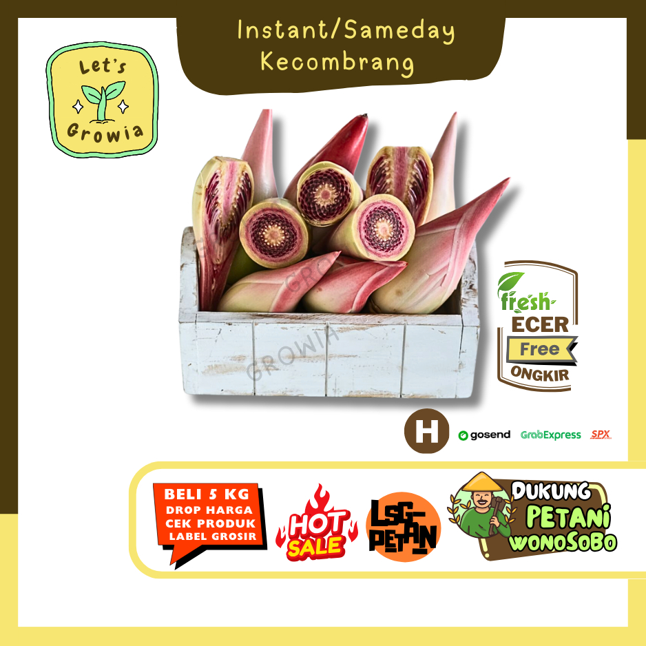 

Growia || Kecombrang / Bunga Kantan / Kincung / Honje 1 Batang -- Hasil Petani Langsung Ecer Sayur Gunung (H)