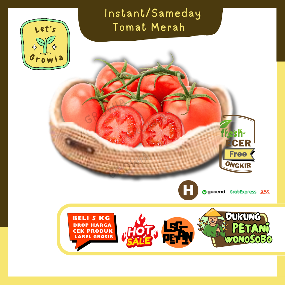 

Growia |Tomat Merah (H)0