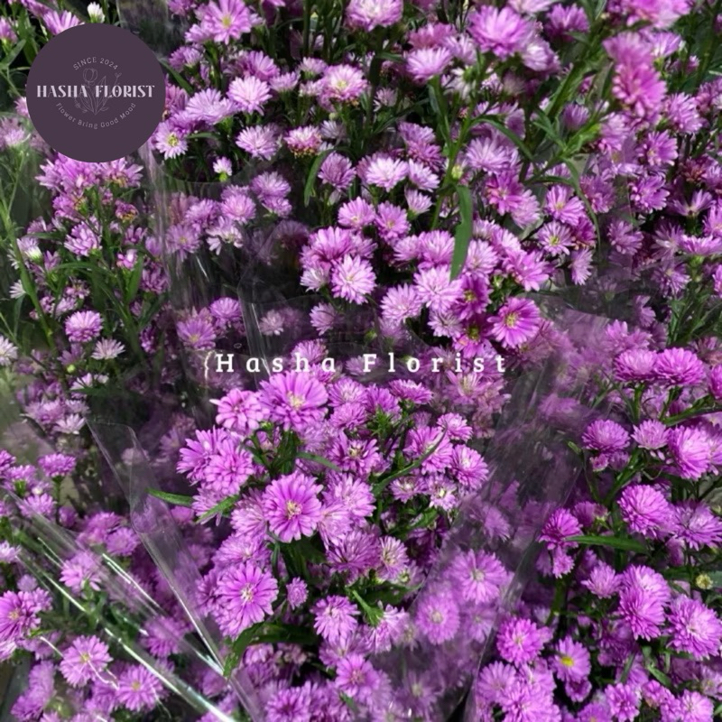 Bunga Pikok Fresh ( Bunga Potong Segar jakarta ) - By Hasha Florist