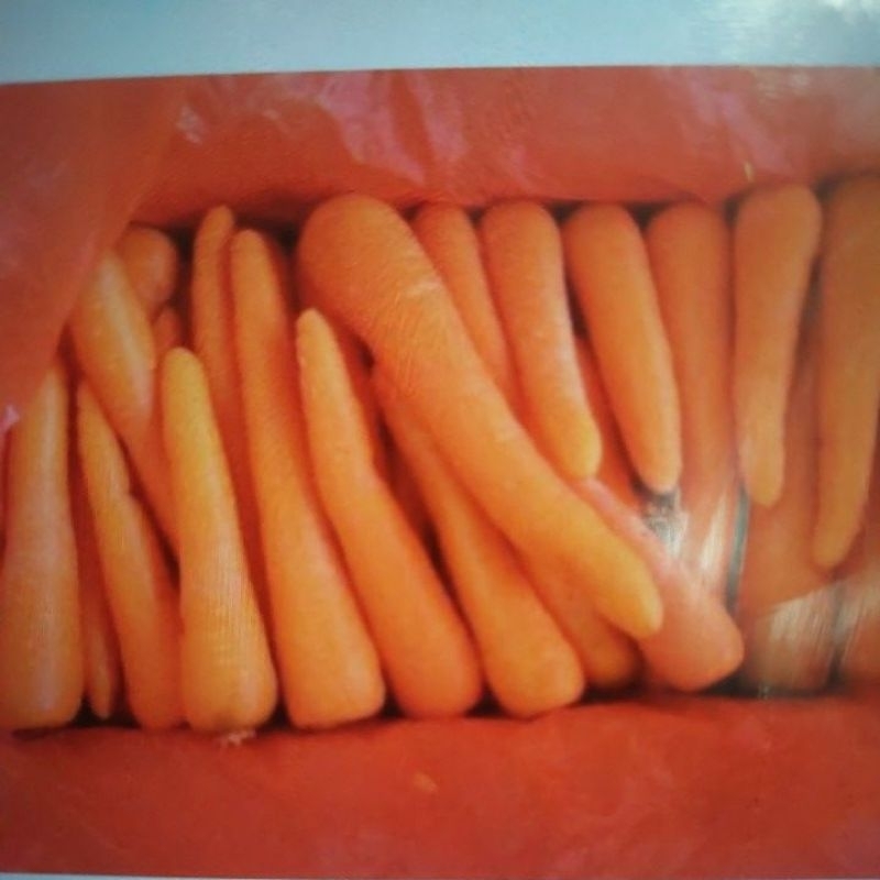 

Wortel Brastagi / Sayur Wortel