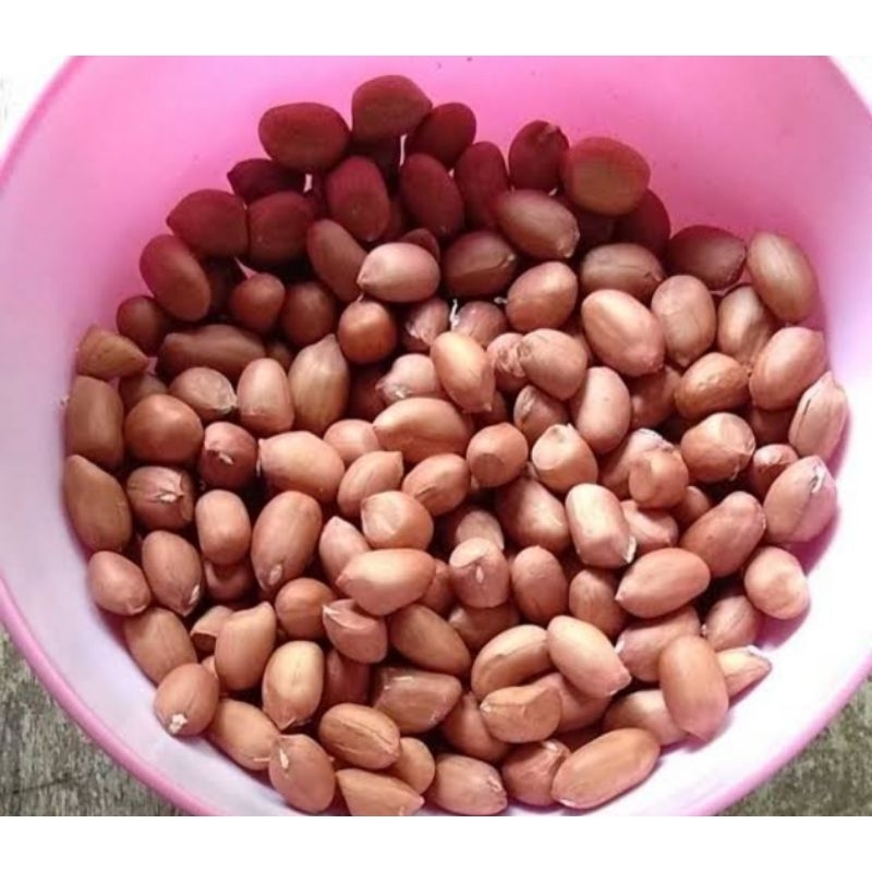 

Kacang Tanah empuk dan kering