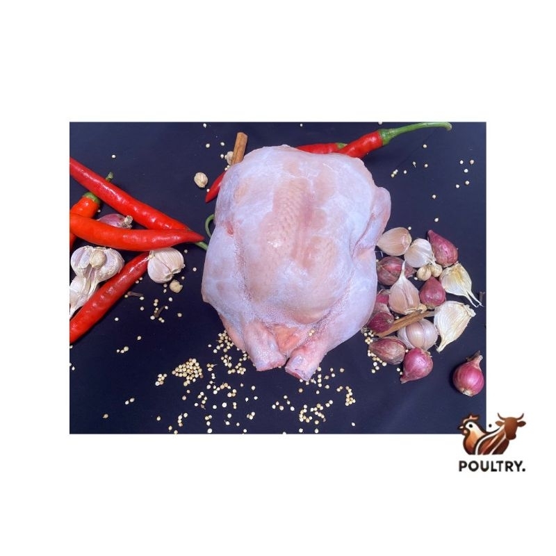 

Ayam broiler karkas ukuran 1,3KG lebih Aman Sehat Utuh Halal (ASUH)