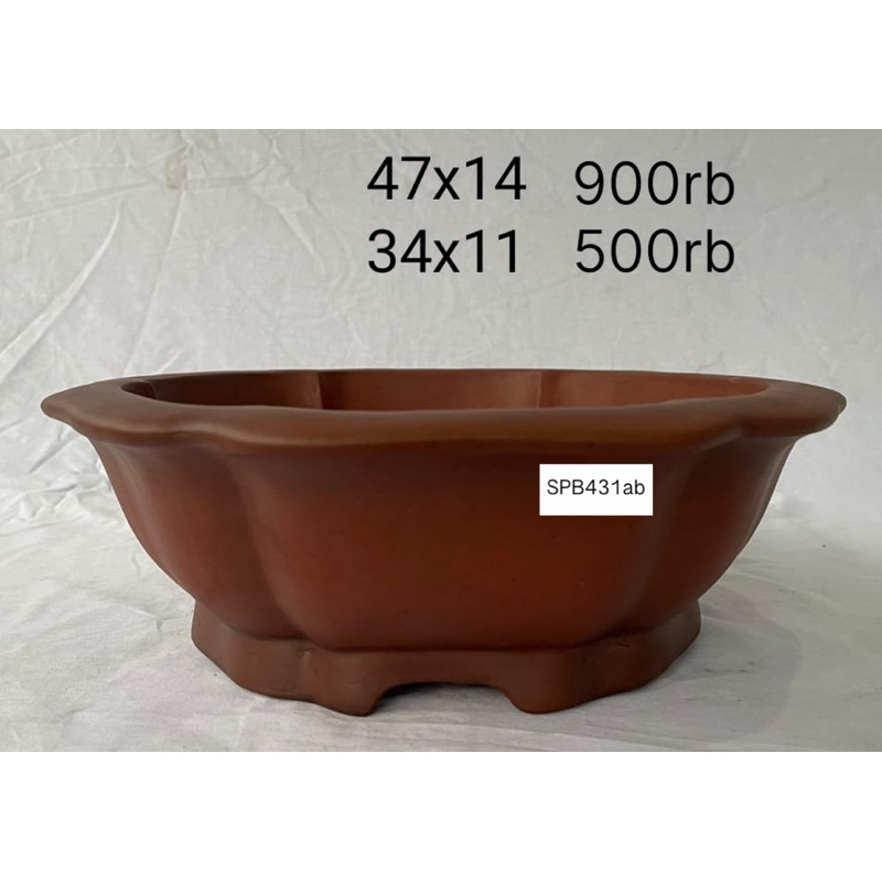 pot bonsai import segi enam