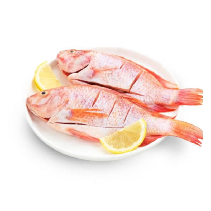 

ikan nila bersih 1 kg