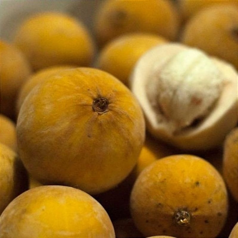 

Buah kecapi segar /1KG