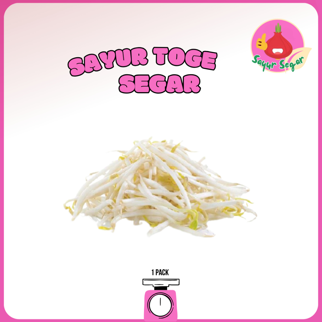 

Sayur Segar - Toge Segar Goceng / Onion Sprout