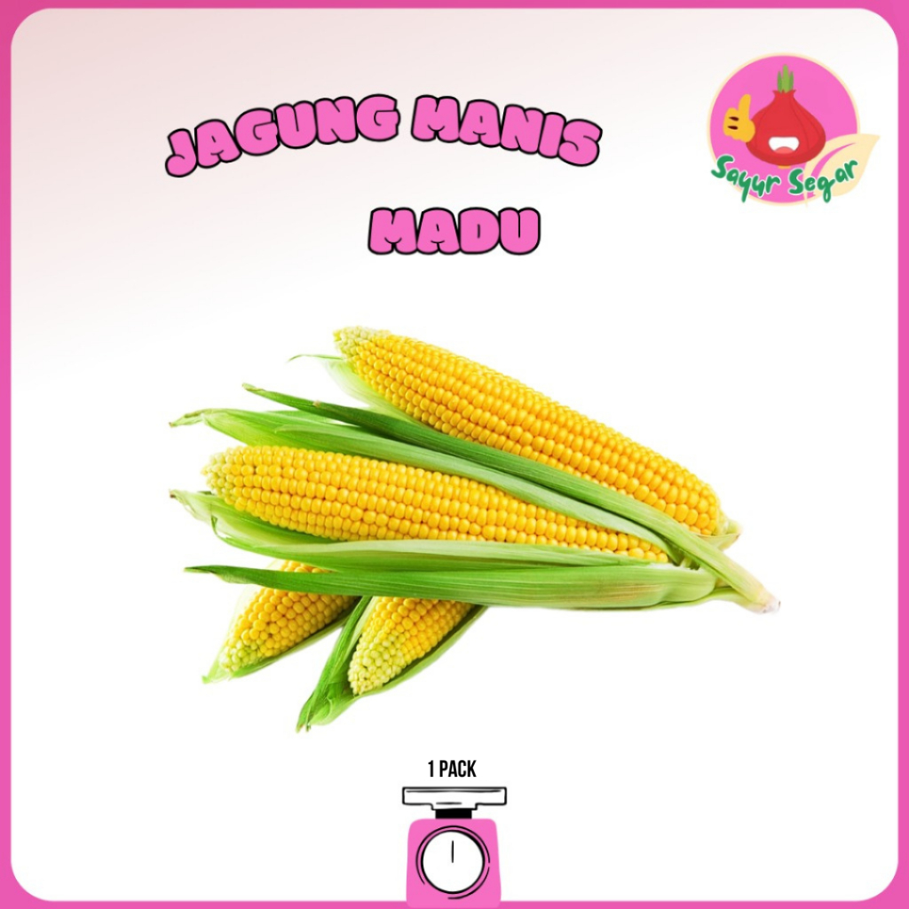 

Sayur Segar - Jagung Manis Goceng / Corn
