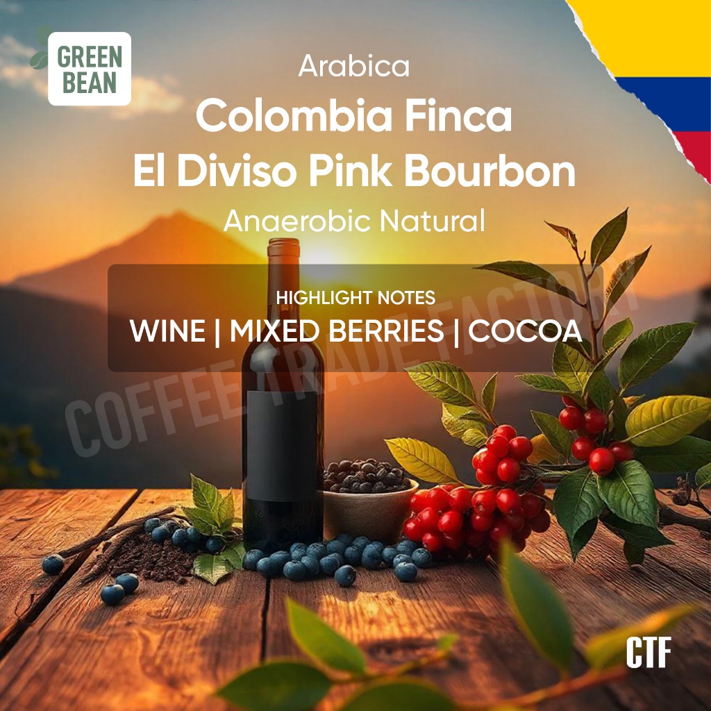 

Green Beans Arabika Colombia Finca El Diviso Pink Borbon Anaerobic Natural / Coffee Trade Factory CTF / Green Bean Arabica kolombia Biji kopi mentah premium berkualitas proses fermentasi natural anaerob greenbean specialty coffee