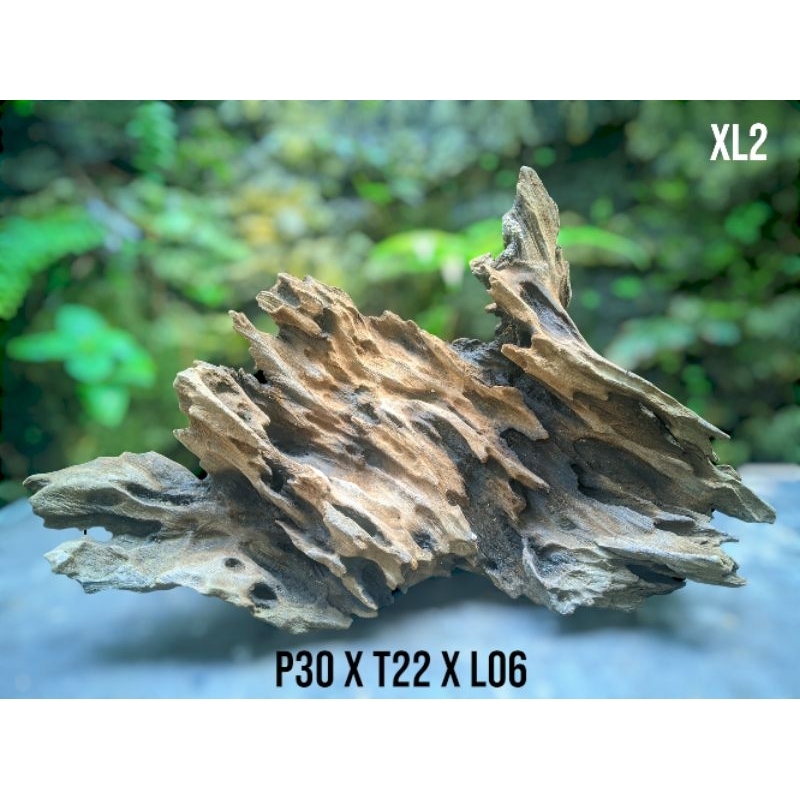 Kayu Rentek Aquascape Tua XL Tahan Lama