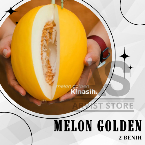 2 Biji - Benih Melon Golden KINASIH Tunas Agro