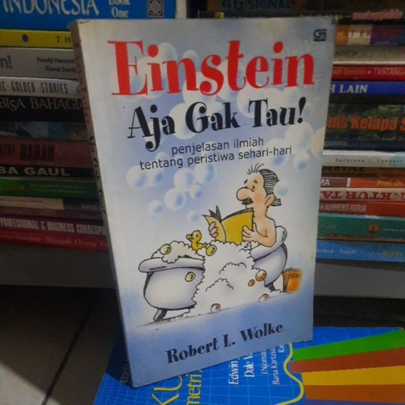 EINSTEIN AJA GAK TAU  - ROBERT L WOLKE