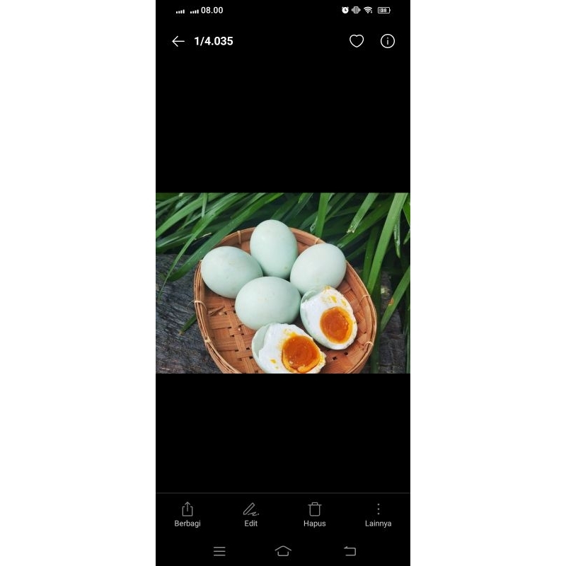 

telur asin