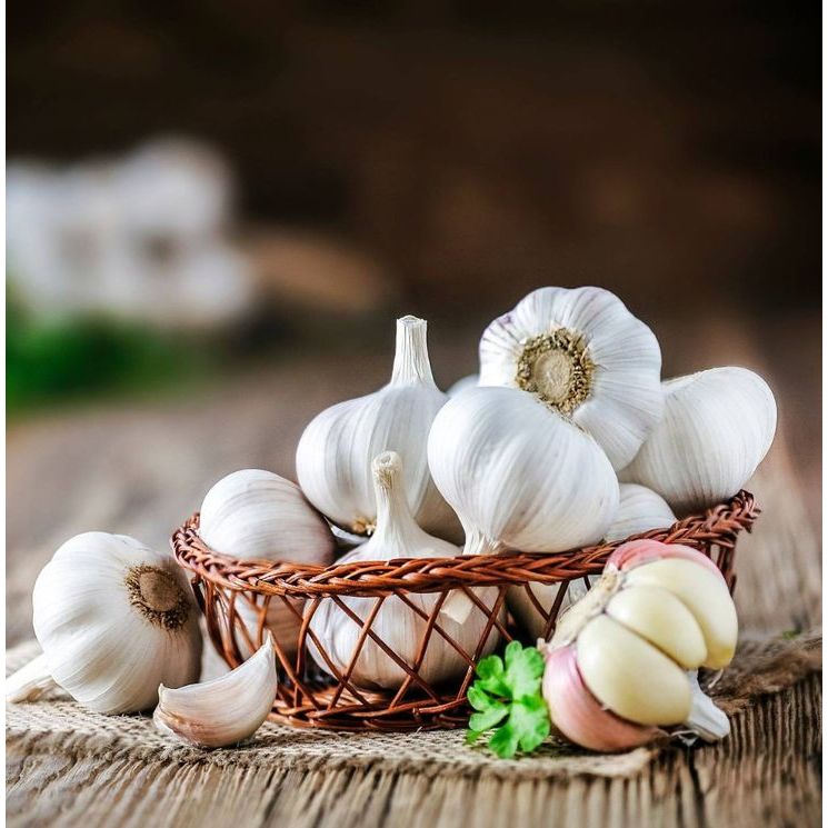 

BAWANG PUTIH SINCO (Honan) 1KG | MURAH I BESAR I ANTI BUSUK