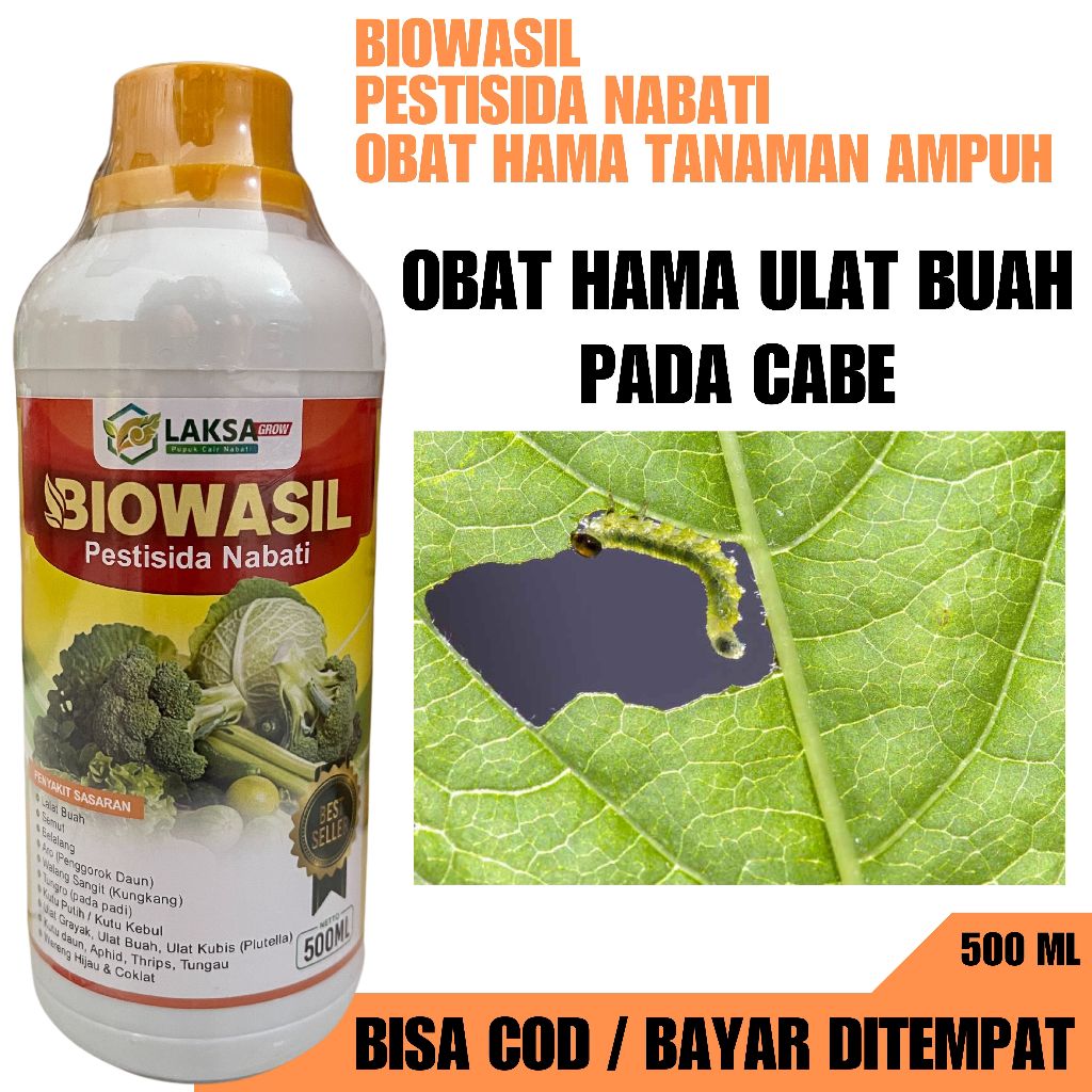 BIOWASIL 500ml Pestisida Organik Obat Hama Ulat Buah Pada Tanaman Cabe, Obat Hama Ulat Cabe Ampuh
