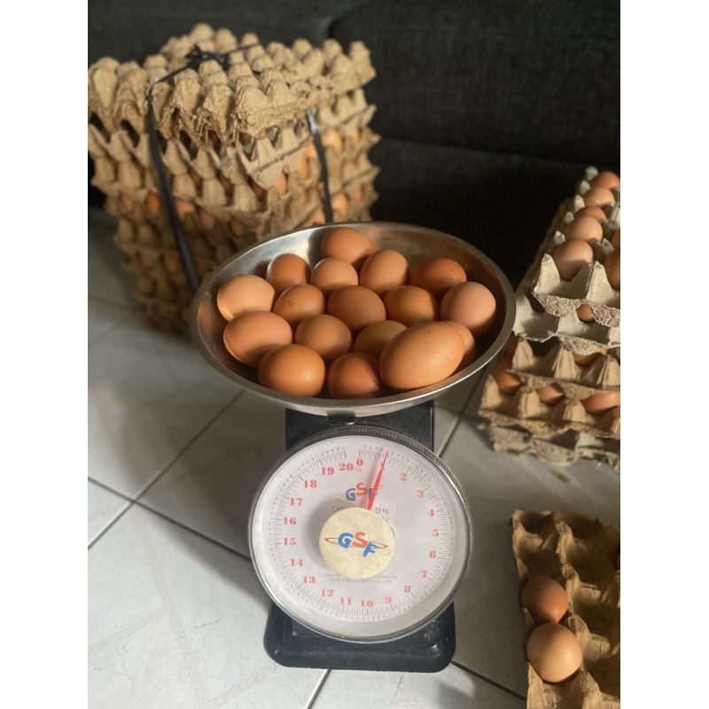 

Telur Ayam Negeri Standar 1kg