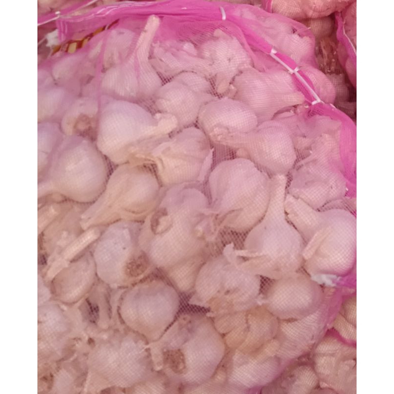 

BAWANG PUTIH KATING KOTOR 250G