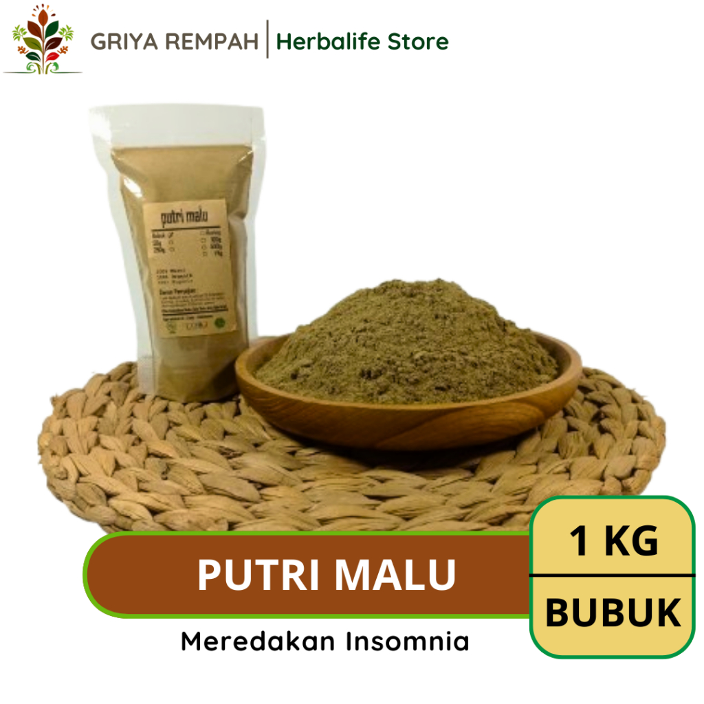 

PUTRI MALU BUBUK 1 KG Ri Rendet Ramuan Rempah Herbal Kering Jamu Tradisional untuk Kesehatan Alami Simplisia Mimosa pudica